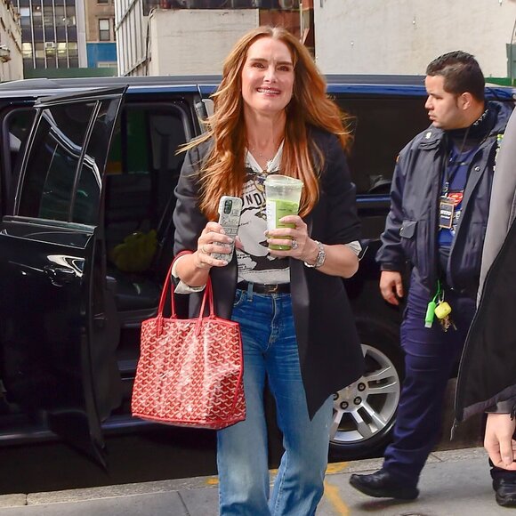 RARE Authentic Goyard Goyardine Saint Louis PM Red Shoulder Tote Bag & Pouch - Picture 8 of 16